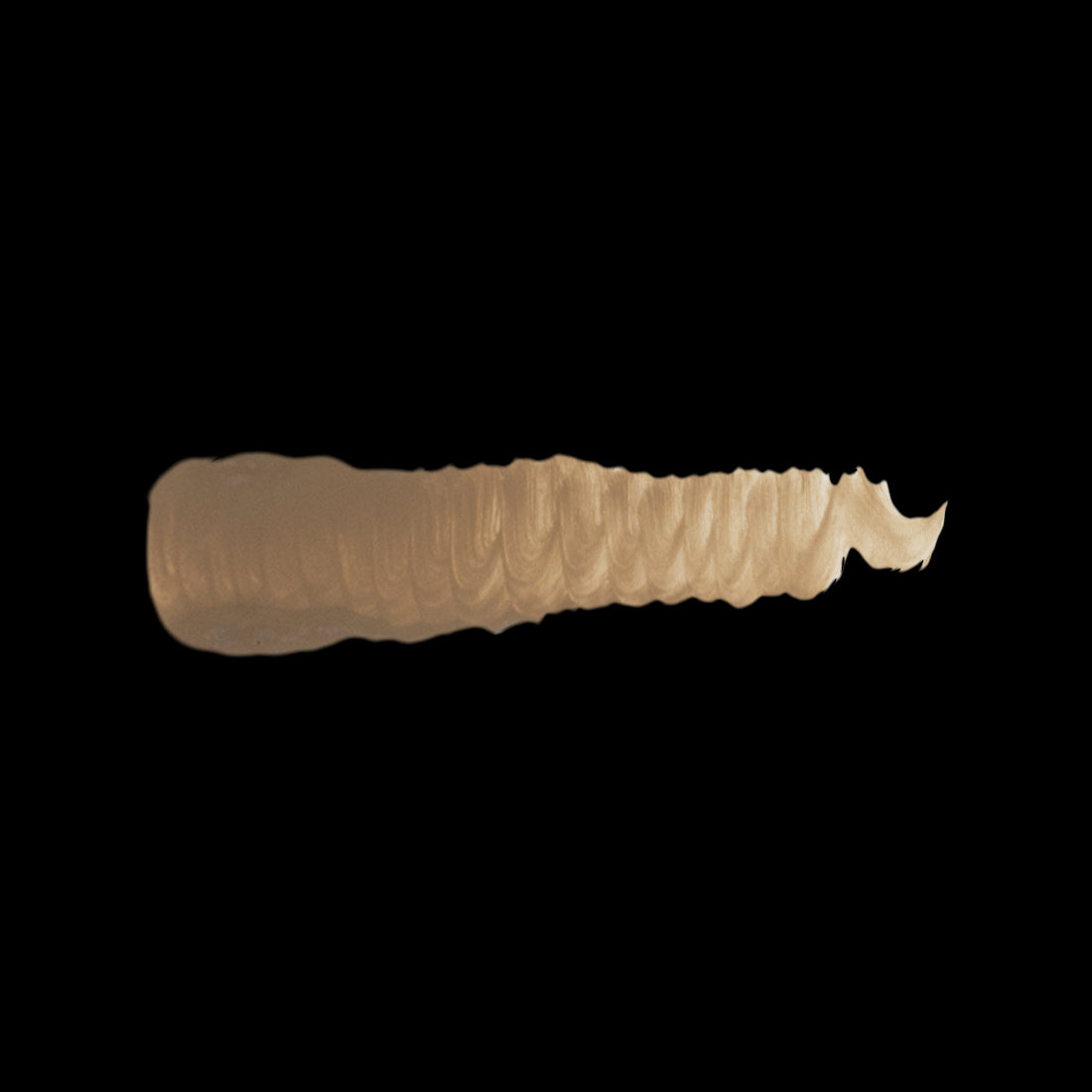 US MEDIUM BROWN