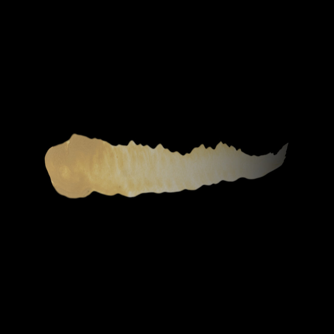 DESERT YELLOW