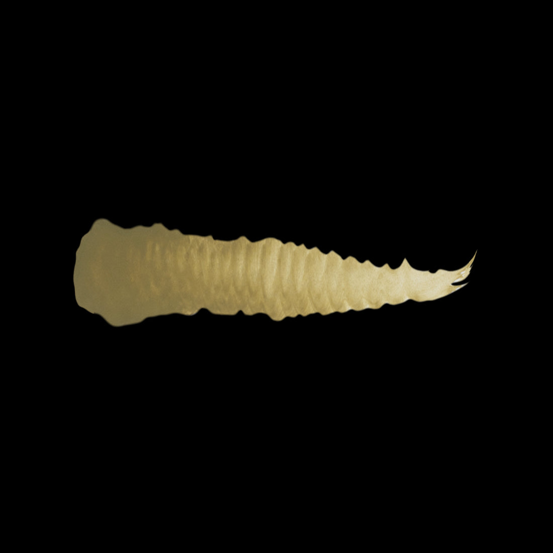 GRAUGRÜN