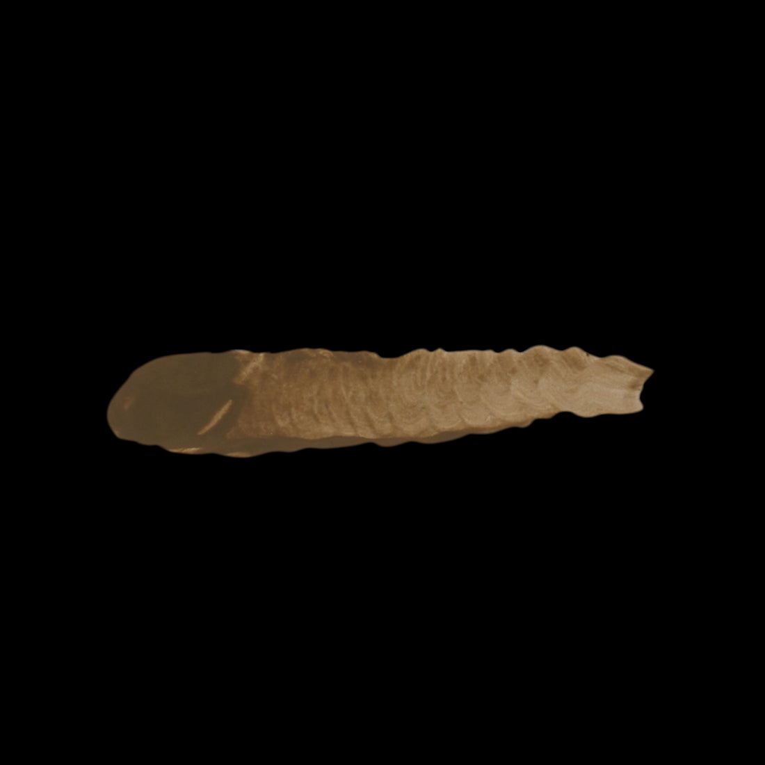 GOBI BROWN
