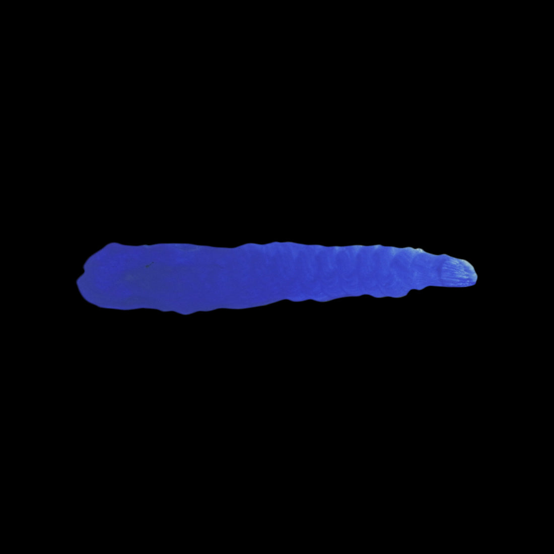 TESLA BLUE