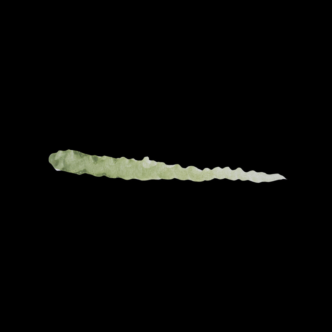 BELLADONNA GREEN