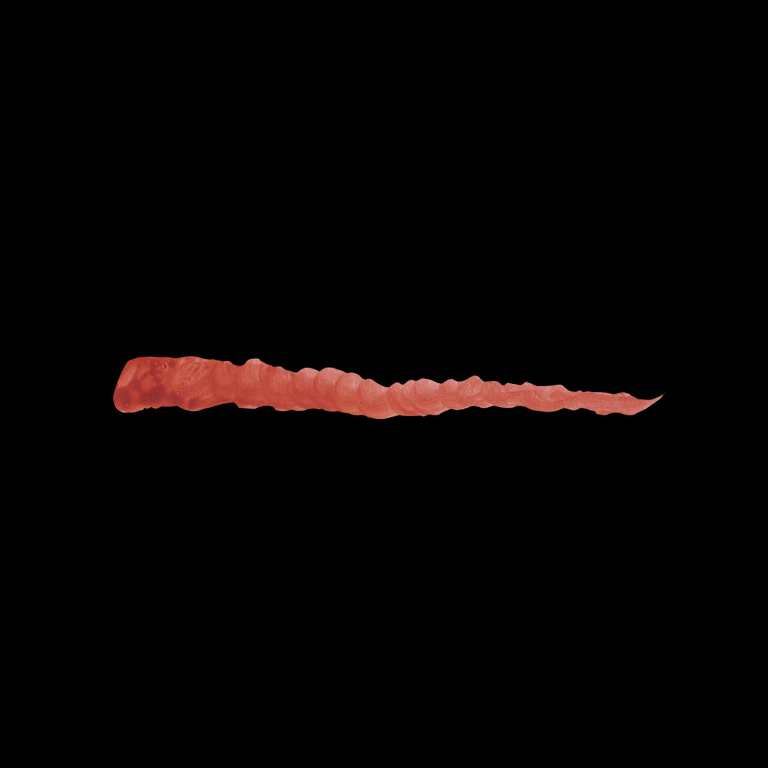 EVIL ROOT
