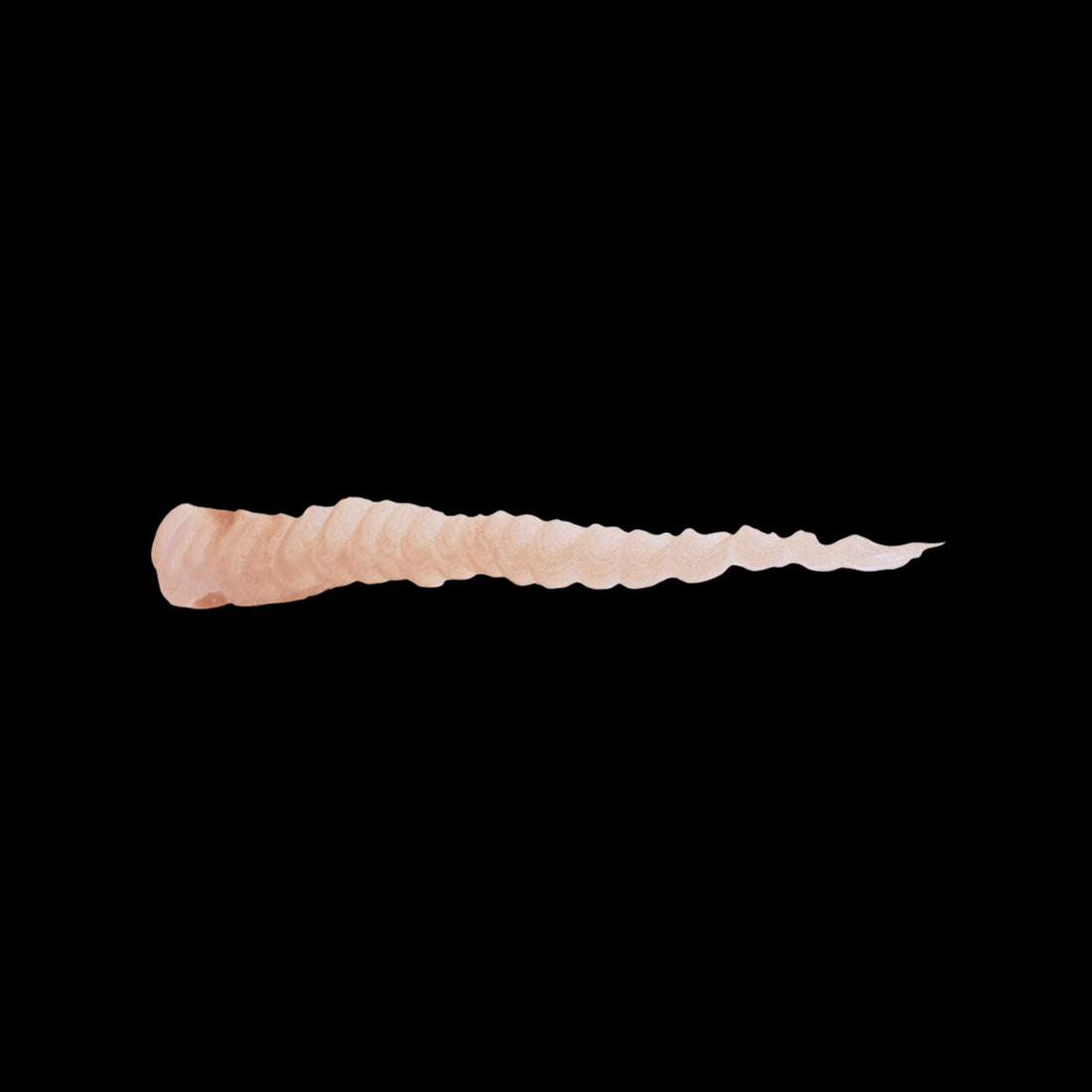 HUMAN FLESH