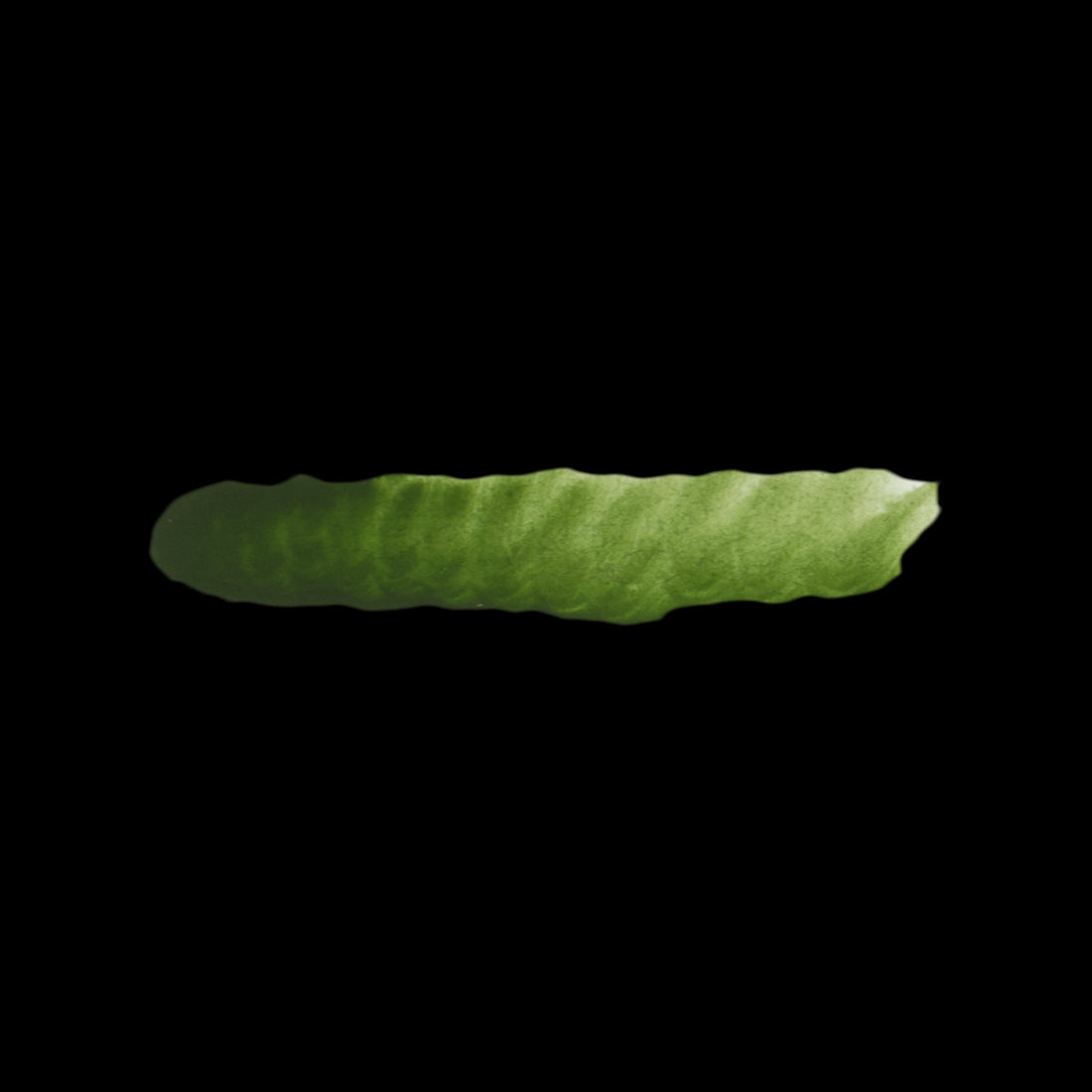 MERM GREEN