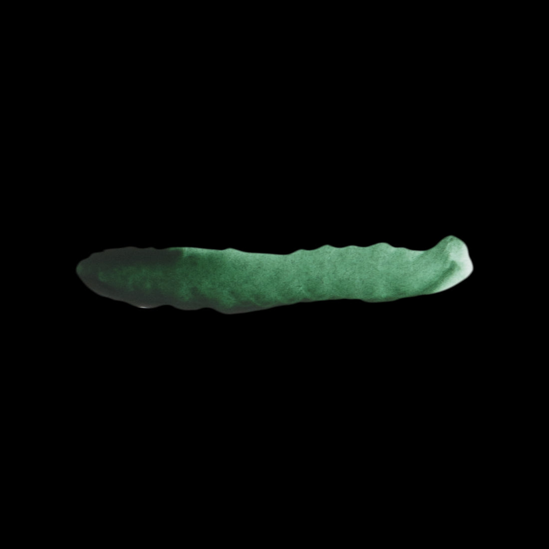 RIFF GREEN