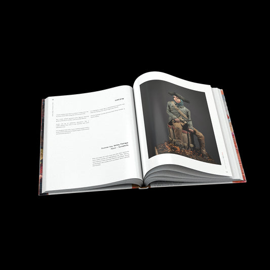 MIKE BLANK COLOR HARMONY ENGLISH