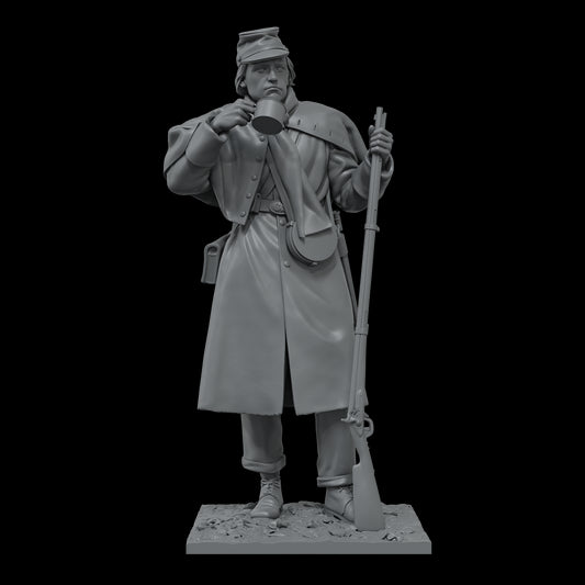 PRIVATE 3RD GEORGIA INFANTRY, 1862