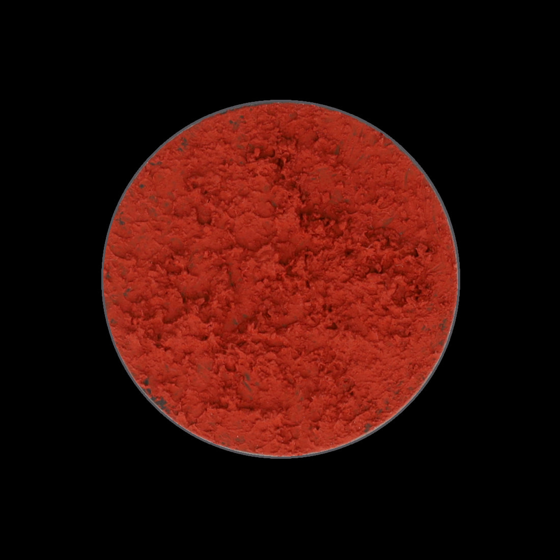 LIFE ON MARS