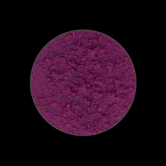 PURPLE SUNS