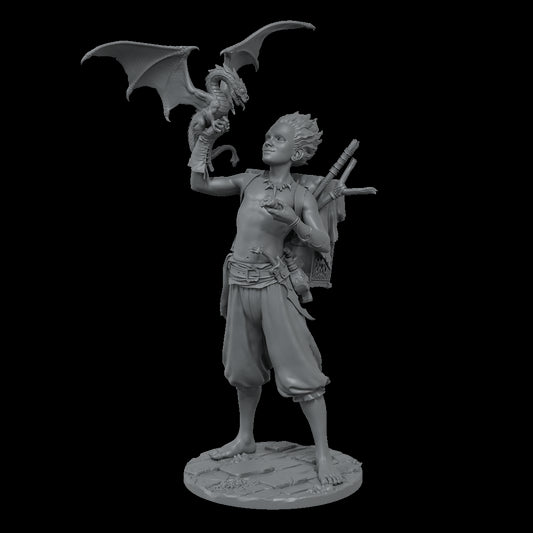 ULHÚ, DRAGON TRAINER