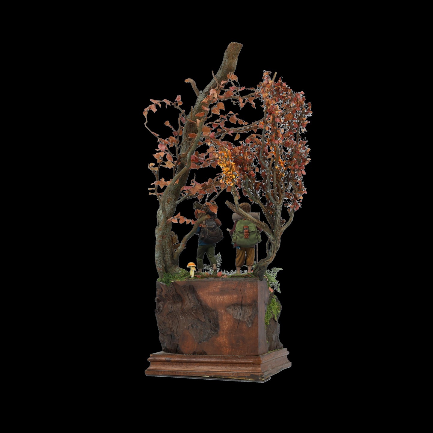 THE ADVENTURE BEGINS