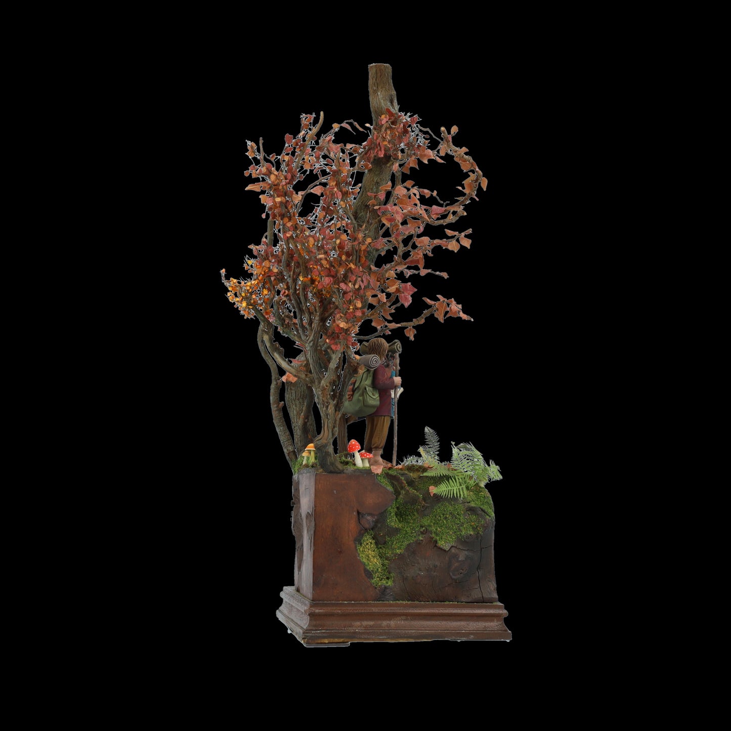 THE ADVENTURE BEGINS