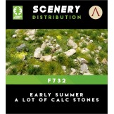 EARLY SUMMER A LOT OF CALC STONES