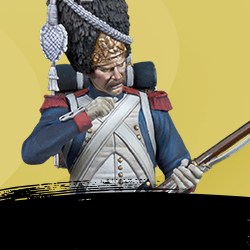 THE NAPOLEONIC WARS