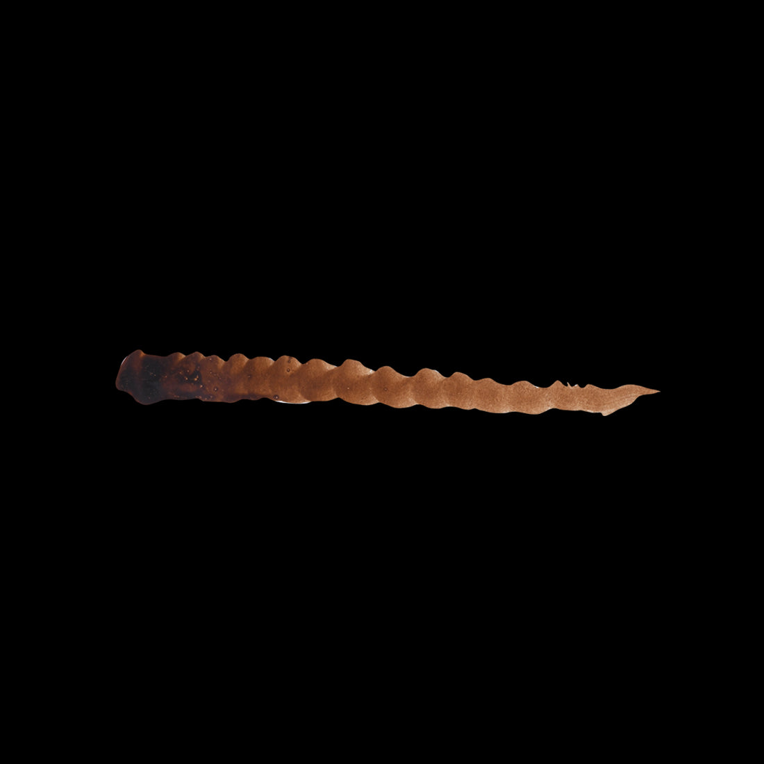 ENDURANCE BROWN