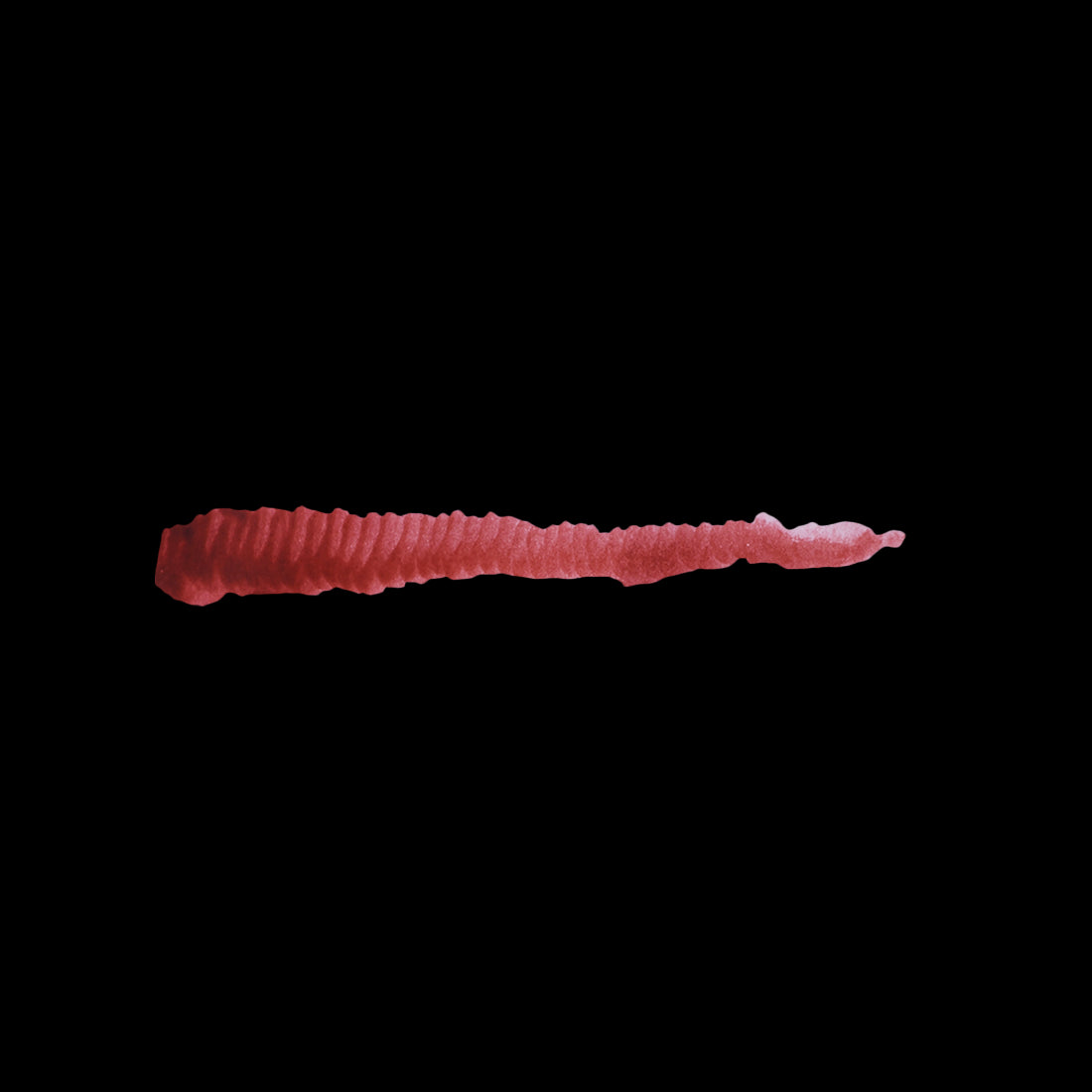 DRAGON BLOOD