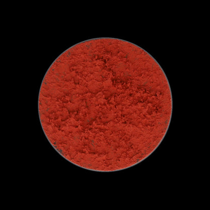 LIFE ON MARS