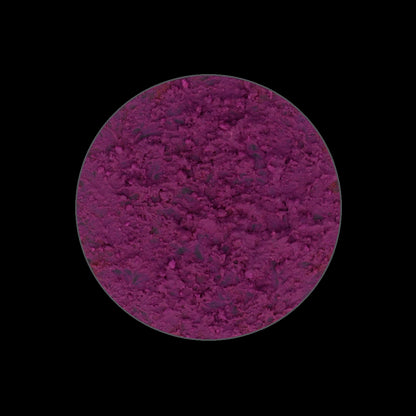 PURPLE SUNS