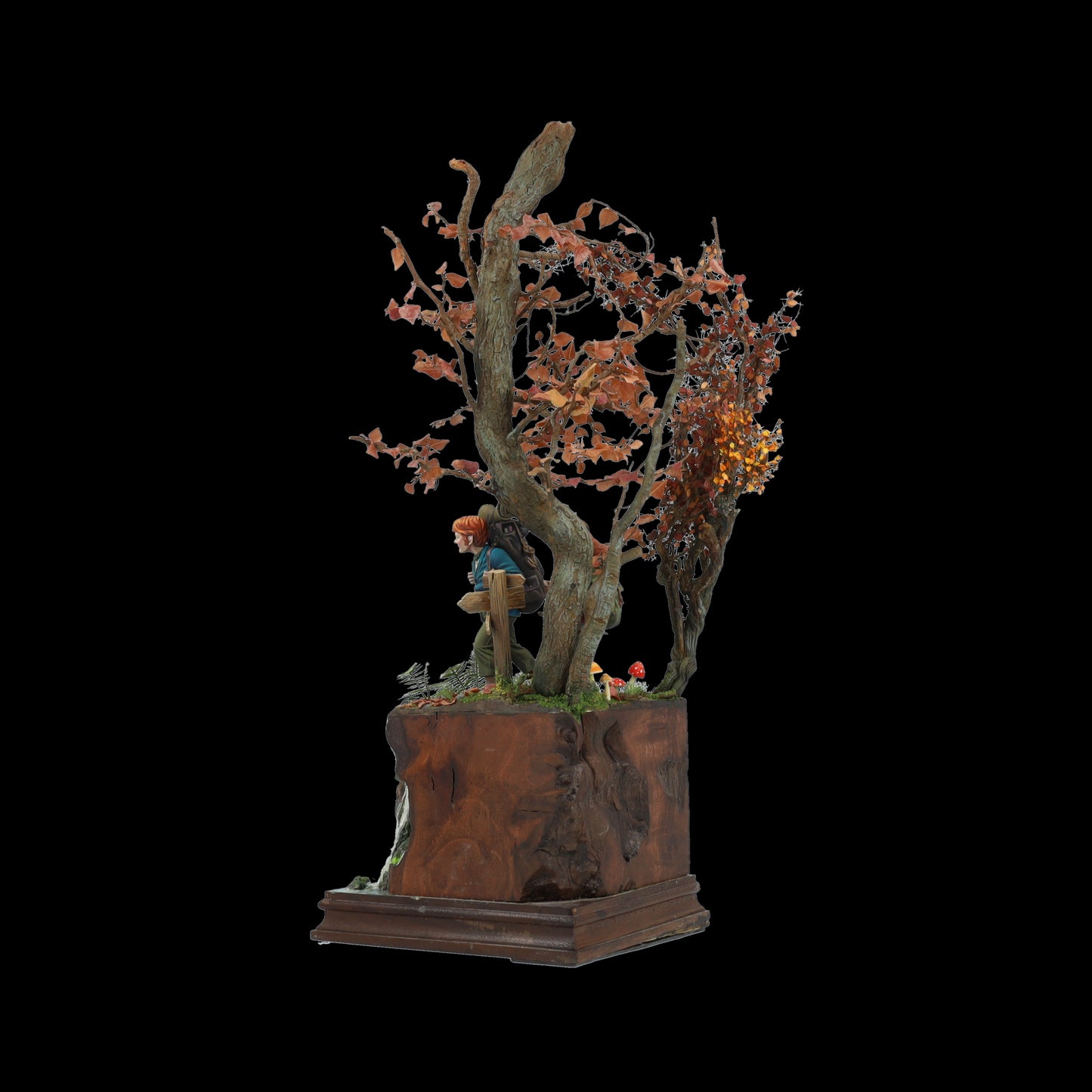 THE ADVENTURE BEGINS