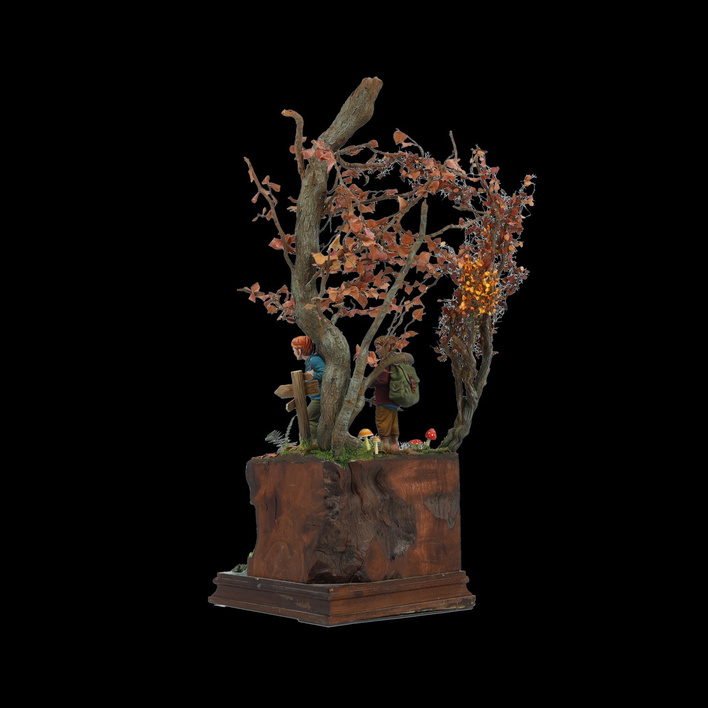 THE ADVENTURE BEGINS